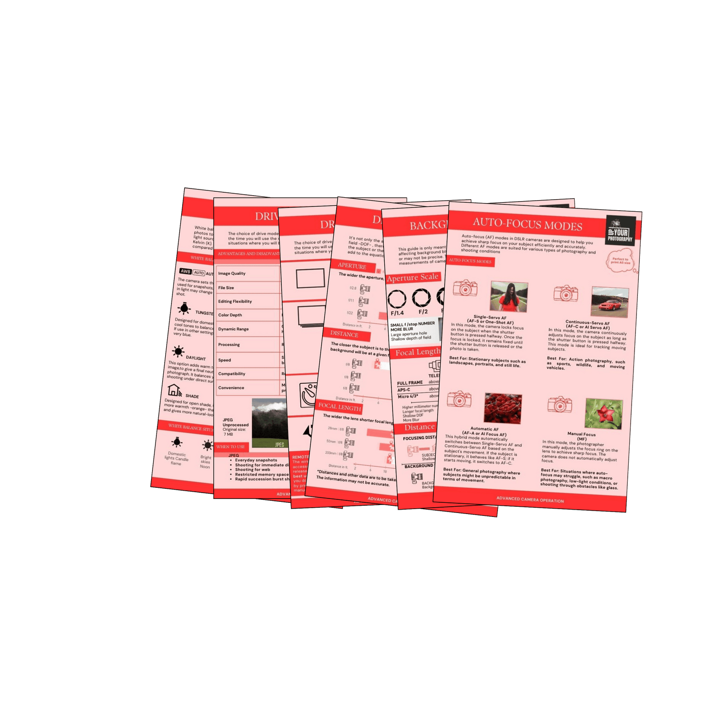74 Photography CHEAT Cards