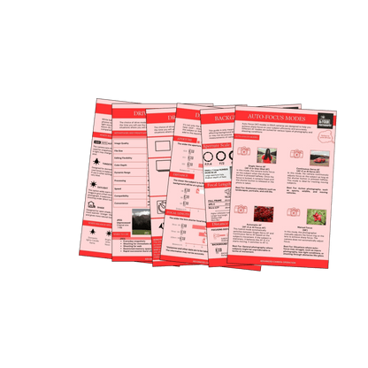74 Photography CHEAT Cards