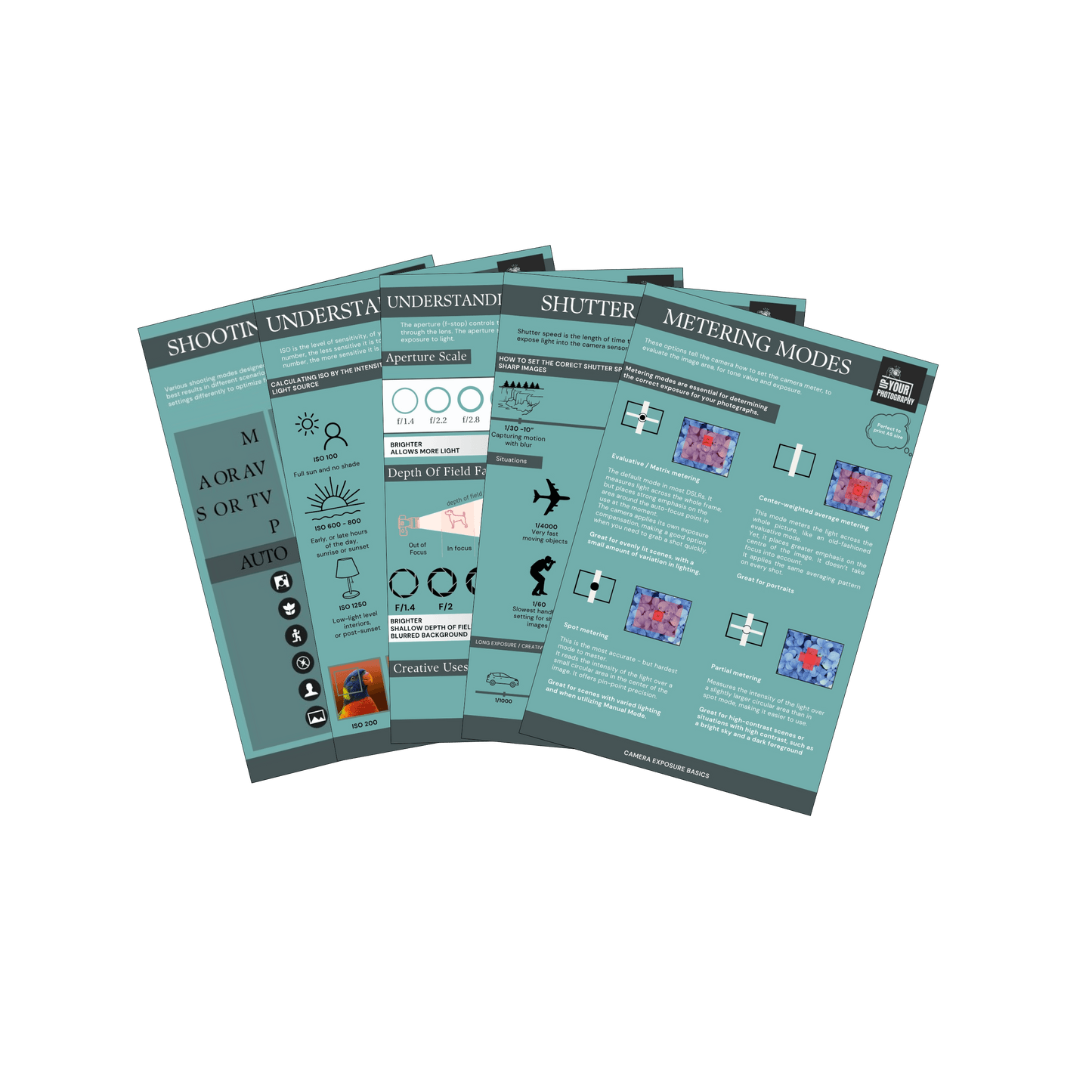 20 Essential Photography Cheat Cards