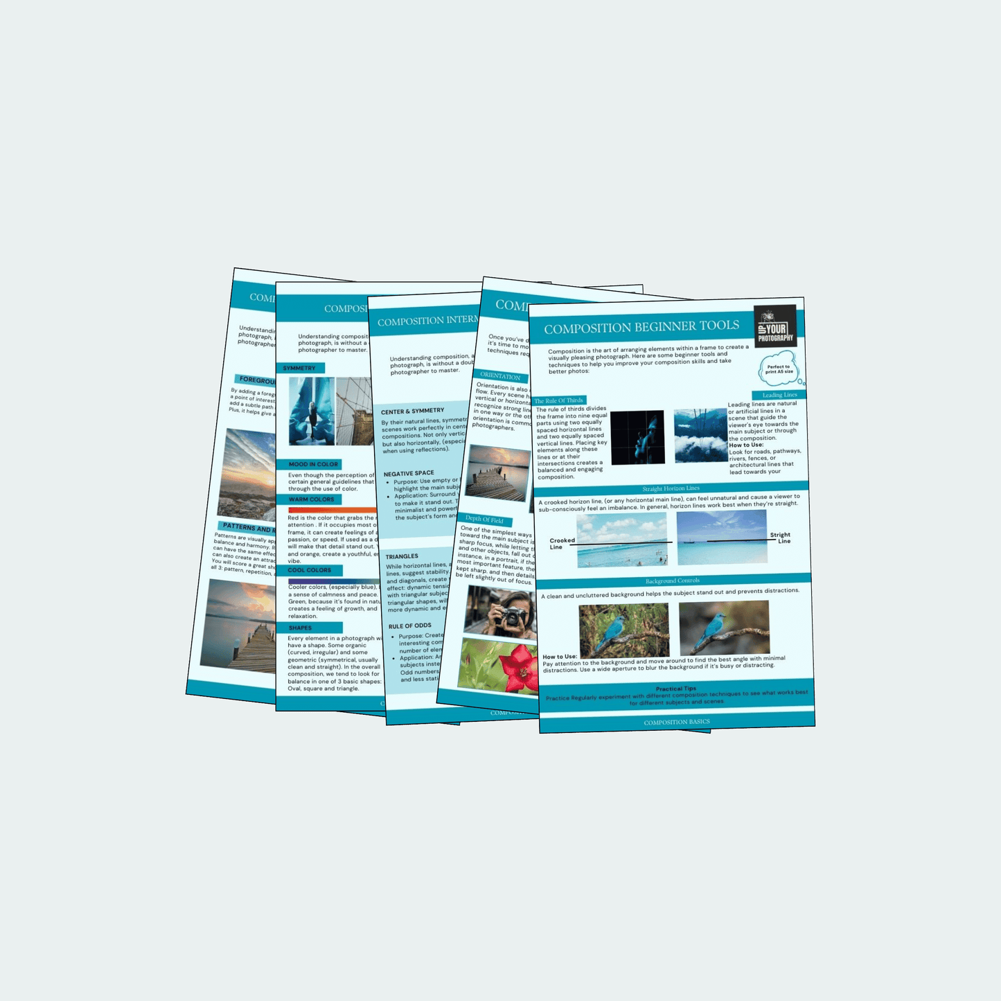 74 Photography CHEAT Cards