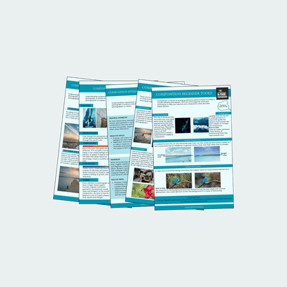 74 Photography CHEAT Cards