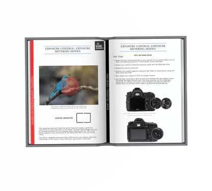 THE DSLR CRASH COURSE
