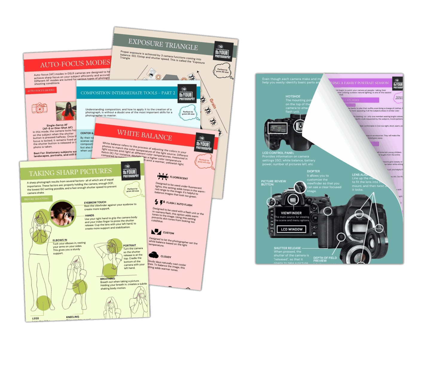 THE CHEAT CARD ESSENTIALS | 91% OFF! - UpYourPhotography
