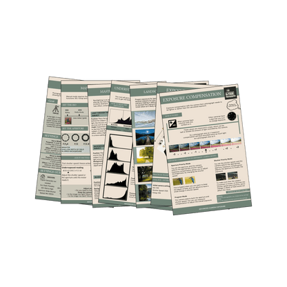 74 Photography CHEAT Cards