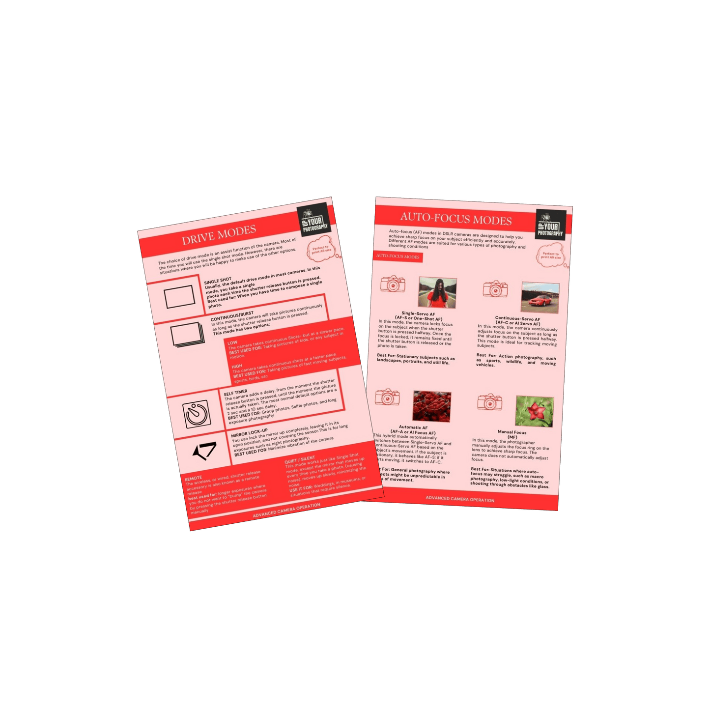 20 Essential Photography Cheat Cards