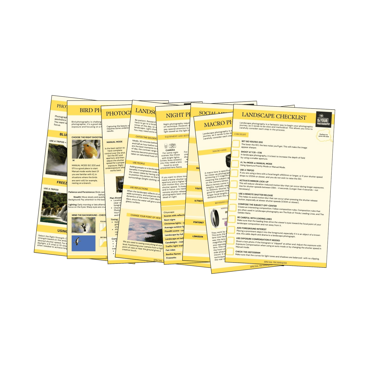 74 Photography CHEAT Cards