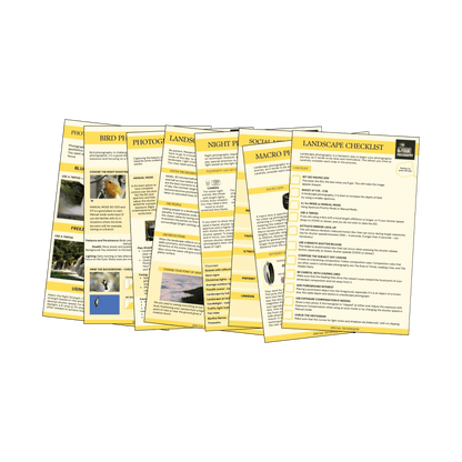 74 Photography CHEAT Cards